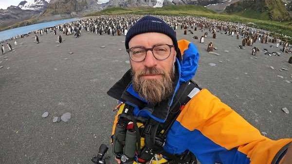 匹兹堡企鹅|南极发现全球首只金色企鹅 网友瞬间脑洞大开