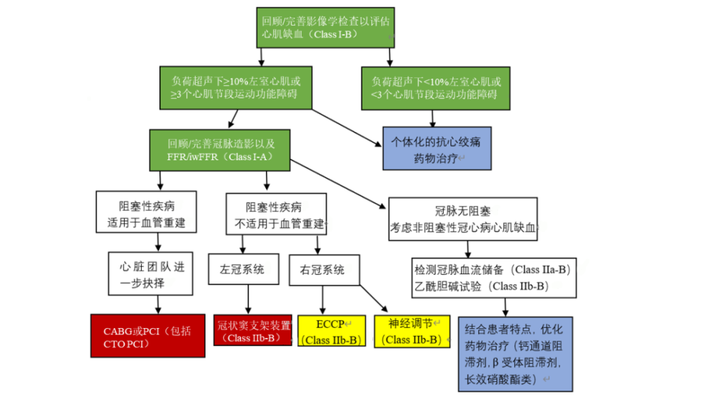 心绞痛|干货｜难治性心绞痛的治疗进展（2）