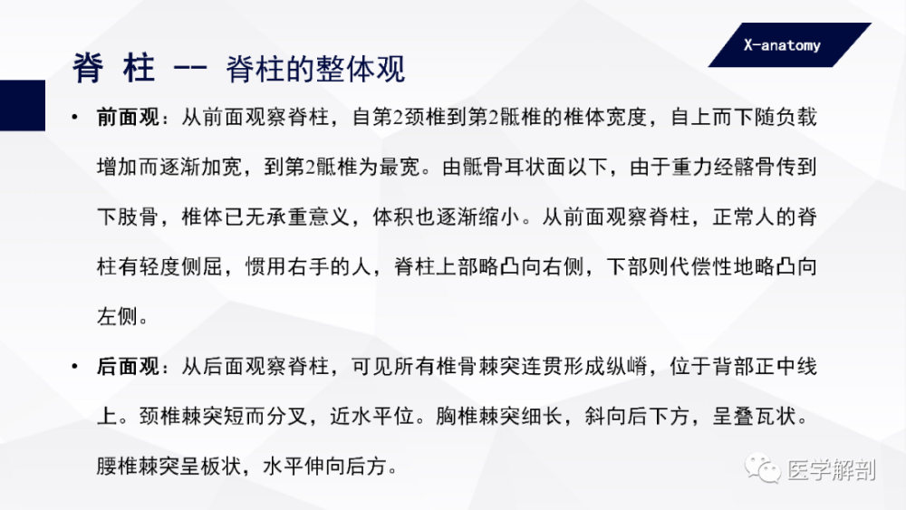 人体解剖学 中轴骨及其连结 躯干骨的连结 腾讯新闻