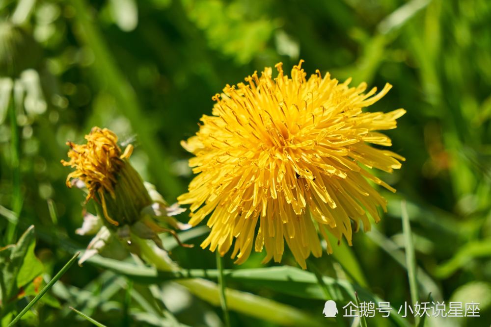 2月22日爱情运势 为爱倾心 恩爱有加的四大星座 腾讯新闻