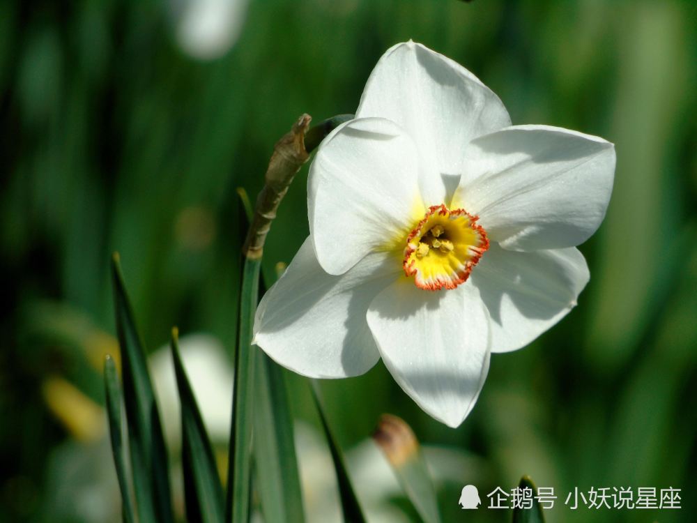 2月22日爱情运势 为爱倾心 恩爱有加的四大星座 腾讯新闻