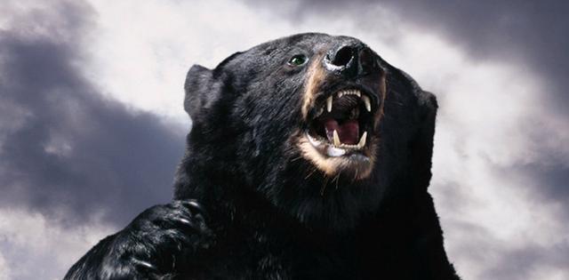 长白山猎熊历险记3为还赌债猎人踏上林海雪原的生死之旅