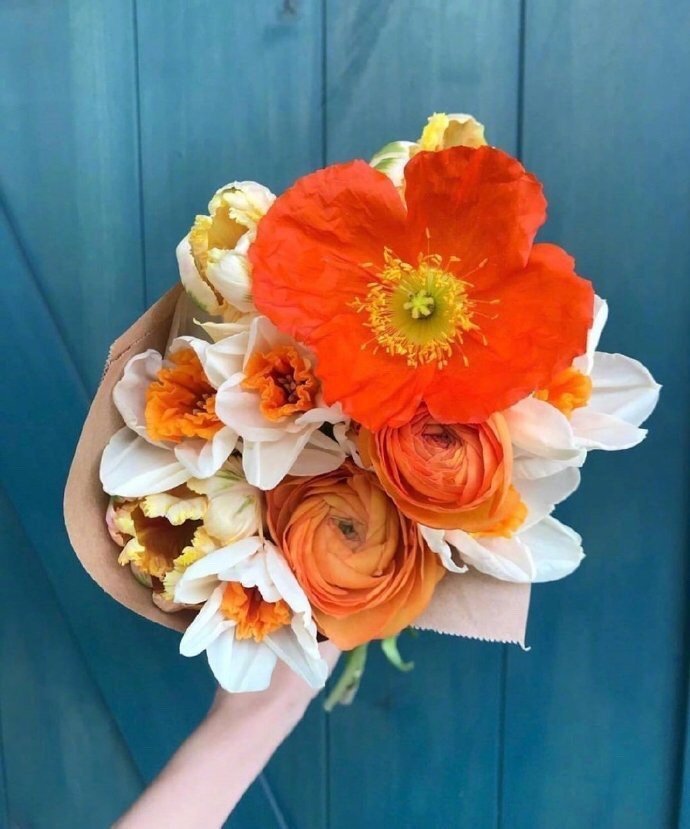 《致拜伦勋爵的信》