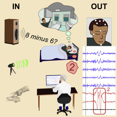 科学家|盗梦空间场景或成真！科学家首次实现与梦中人交流