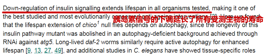自噬|生酮饮食、自噬过度导致减寿？又一无良媒体谣言