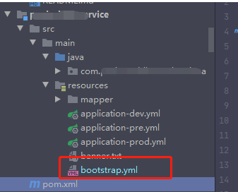 springboot無法識別bootstrapyml小綠葉問題