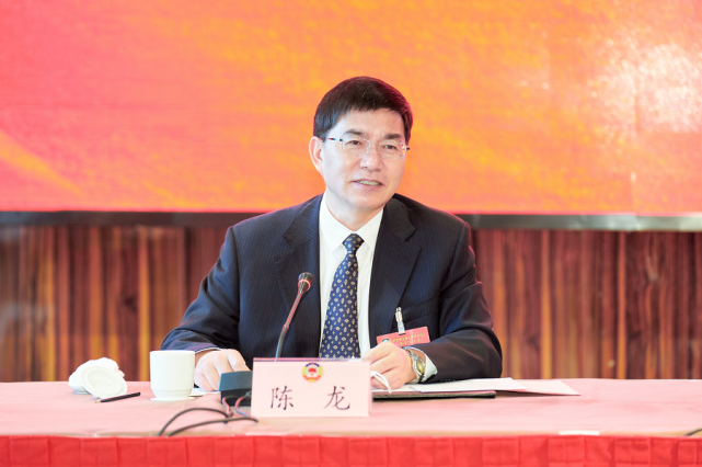 陈龙参加金华市政协七届五次会议科技界科协工商联联组讨论