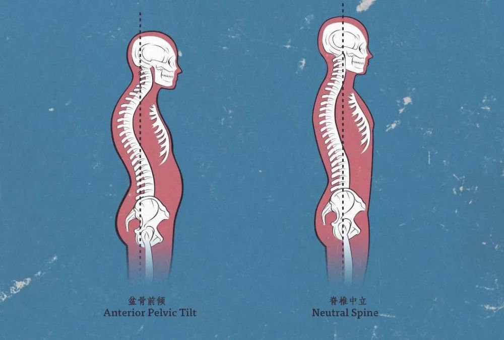 打工人注意了久坐不動蹺二郎腿會讓你的腰越坐越疼