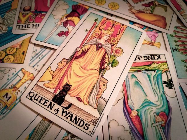 塔罗学堂权杖皇后queenofwands开朗热情