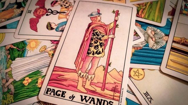 塔罗学堂权杖侍者pageofwands认真负责