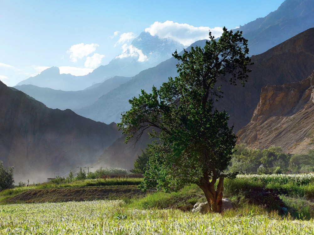 札达底雅乡,阿里的"小江南".图/刘安康