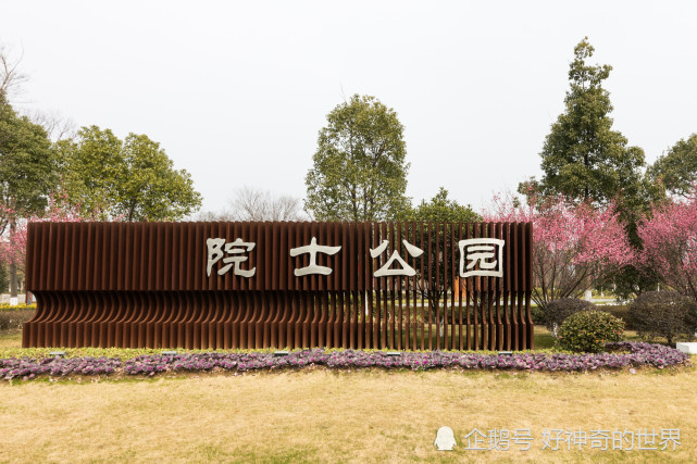 万株花朵好看游客也多|郁金香|院士公园|宁波|鄞州区