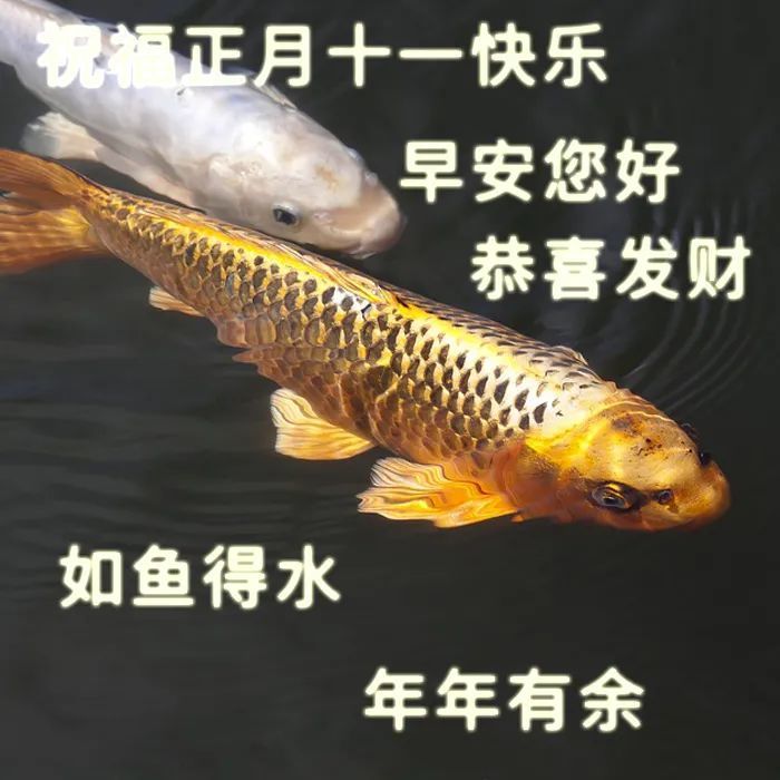 正月|2021牛年正月十一祝福语 大年十一祝福语图片大全