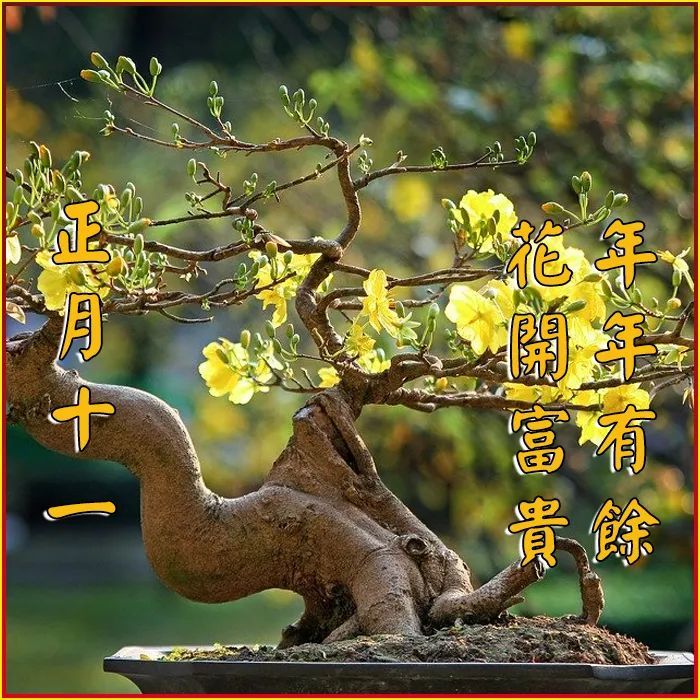 正月|2021牛年正月十一祝福语 大年十一祝福语图片大全