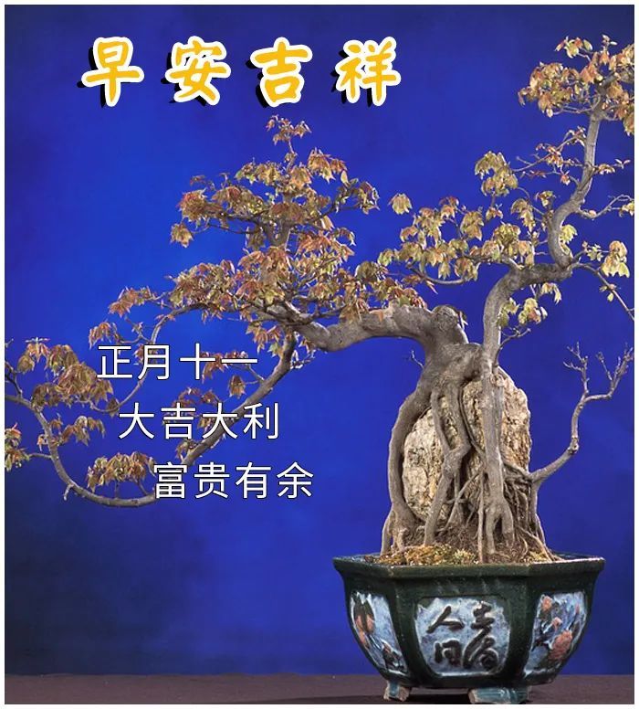 正月|2021牛年正月十一祝福语 大年十一祝福语图片大全