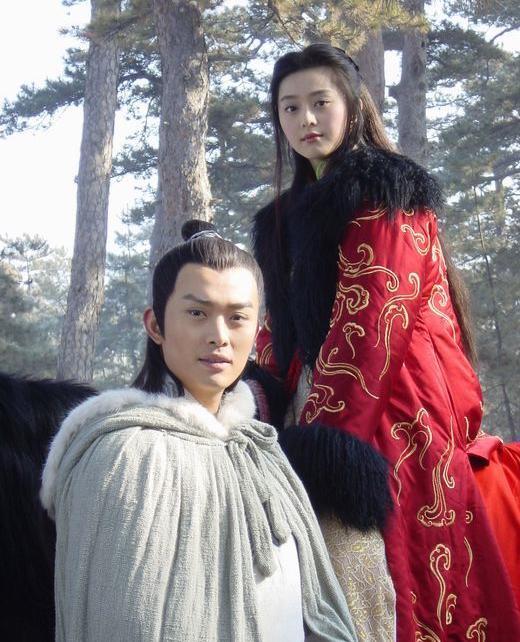 之后那几年范冰冰先后出演《《少年包青天Ⅱ》,《萍踪侠影》等电视剧