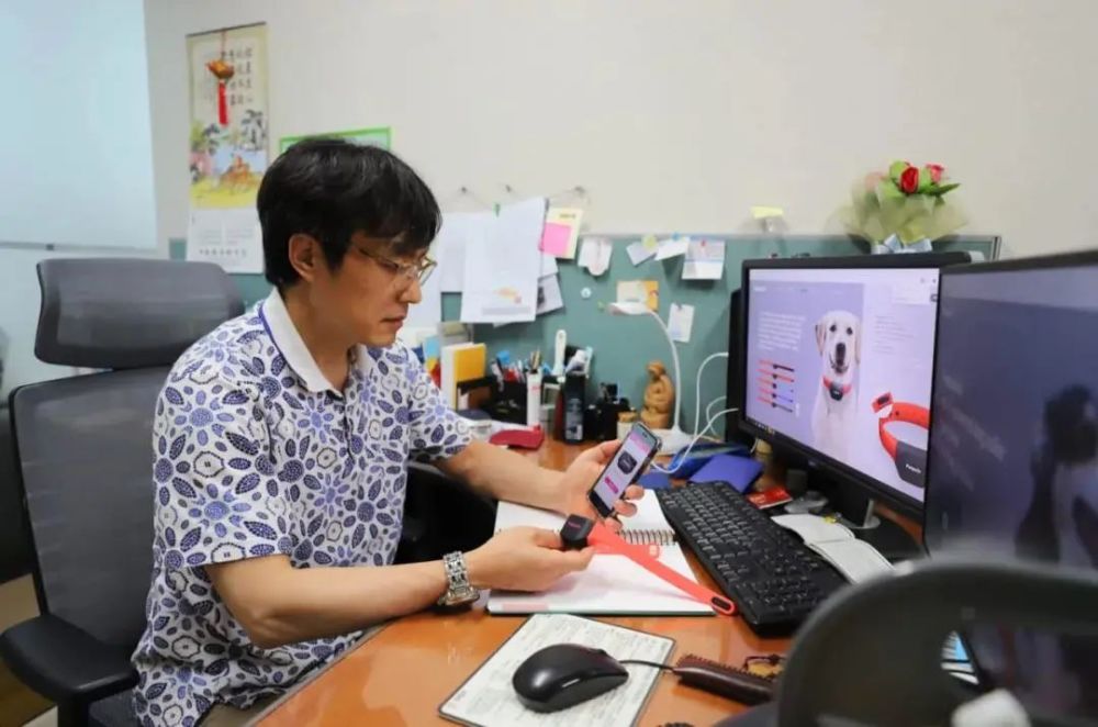 铲屎官|铲屎官福音：汪星人和喵星人的小情绪，AI 可以识别了