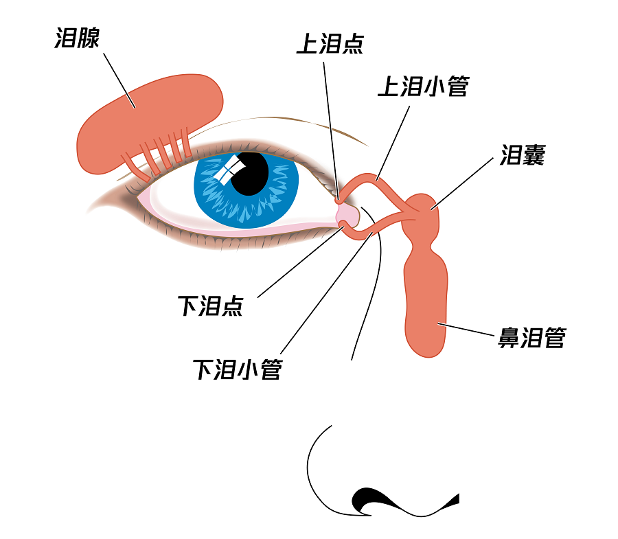 这7个滴眼药水的误区你知道几个?
