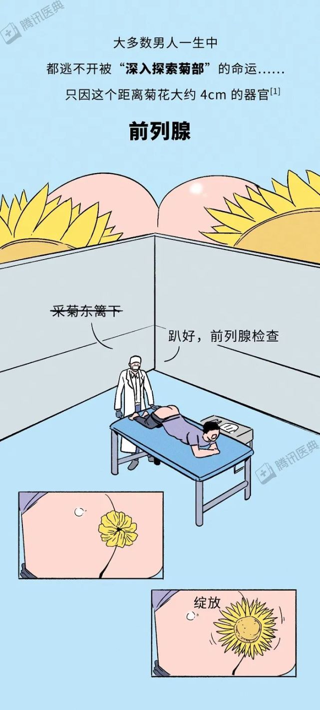 前列腺增生|人民卫生出版社|孙颖浩|前列腺