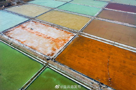 连云港万亩盐田闹春潮