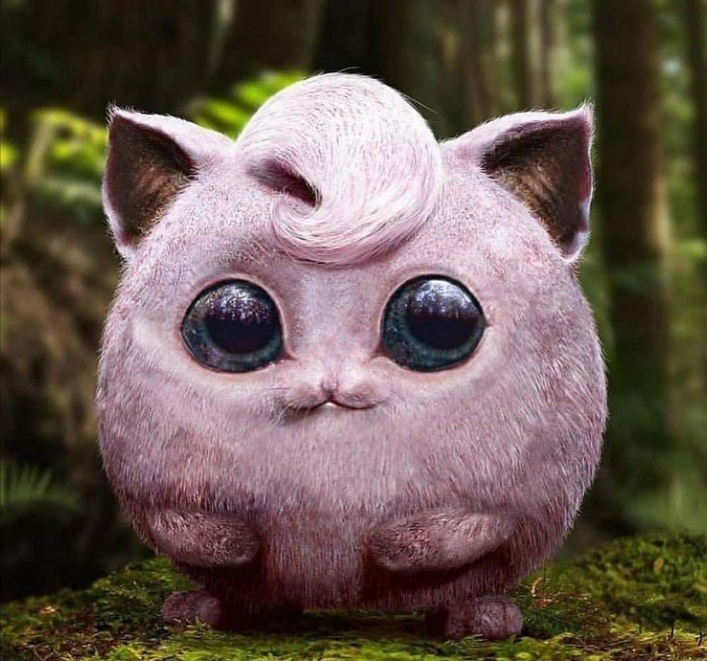 当精灵宝可梦变成现实物种后可达鸭还是憨头憨脑妙蛙草像蜥蜴