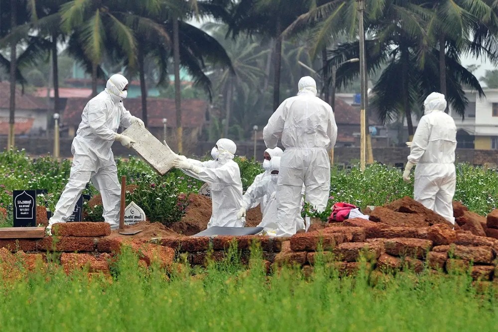 尼帕病毒|科学家担忧尼帕病毒卷土重来，罪魁祸首又是蝙蝠，致死率远超新冠