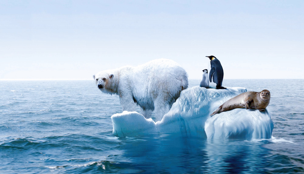 北极地区|数万年前已灭绝生物频现北极？冻土解封，将带来更多麻烦