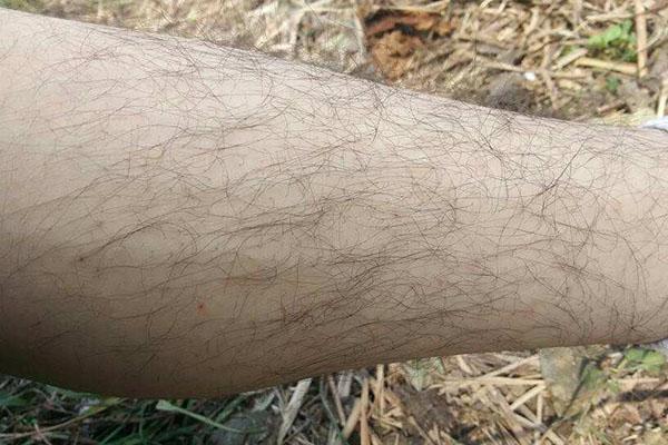 身体2处毛发旺盛说明身体健康长寿不要再刮毛了