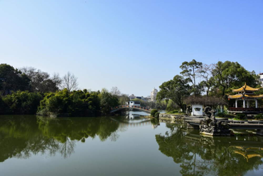 雨湖公园春光旖旎让人心旷神怡