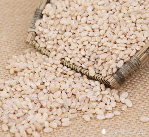 藏青稞一种不能辜负的美食