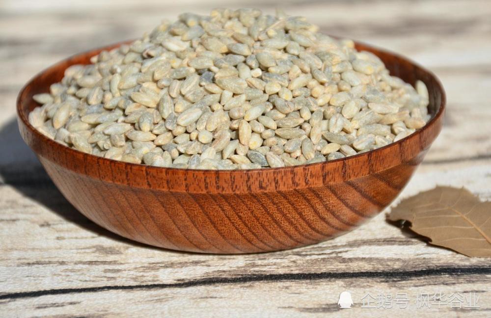 藏青稞一种不能辜负的美食