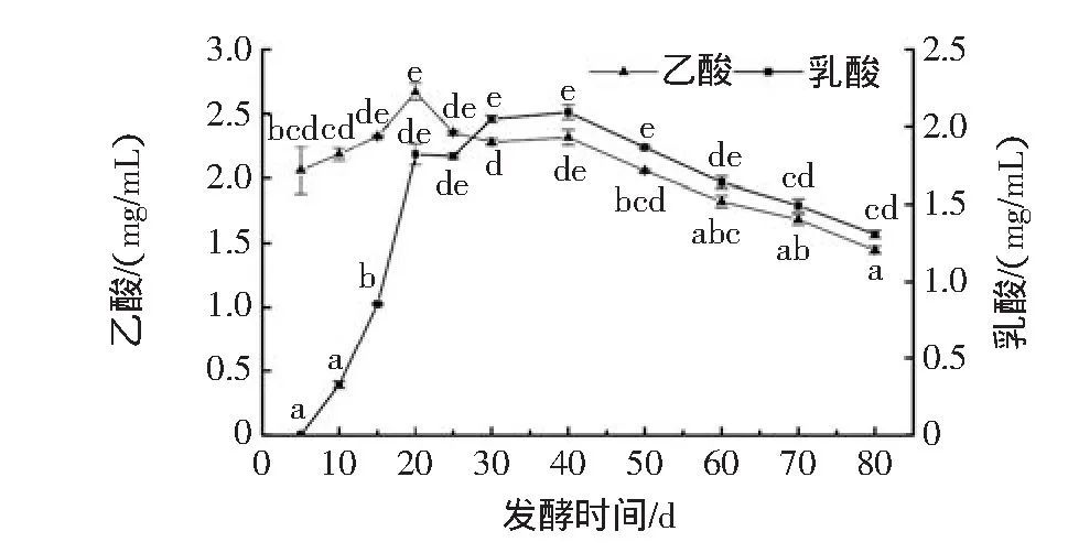 枇杷|枇杷酵素的抗氧化能力有多高？