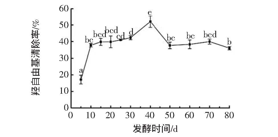 枇杷|枇杷酵素的抗氧化能力有多高？