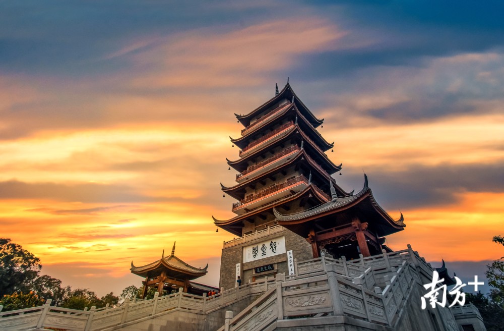 南方拍客看广东一周精选芳菲二月天