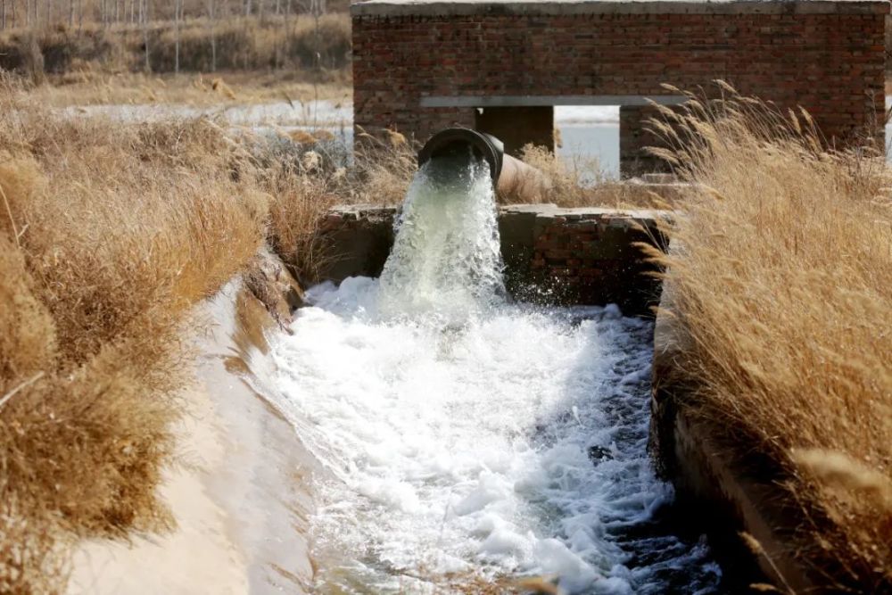 【一年之计在于春】蓄水保水为民生——鲍官屯镇全力以赴保春灌_腾讯