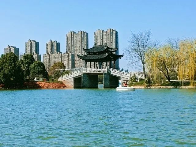 芜湖东湖公园:柳绿花红春意浓 游园赏春正当时