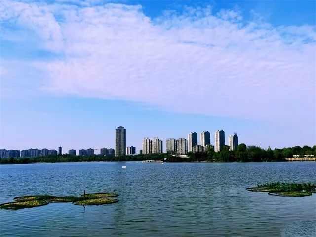 芜湖东湖公园:柳绿花红春意浓 游园赏春正当时_腾讯新闻