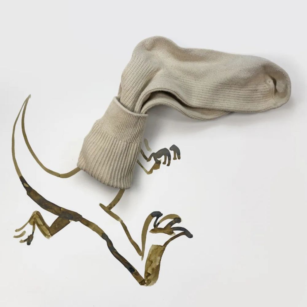 他花了4个小时,把袜子套在了恐龙的头上