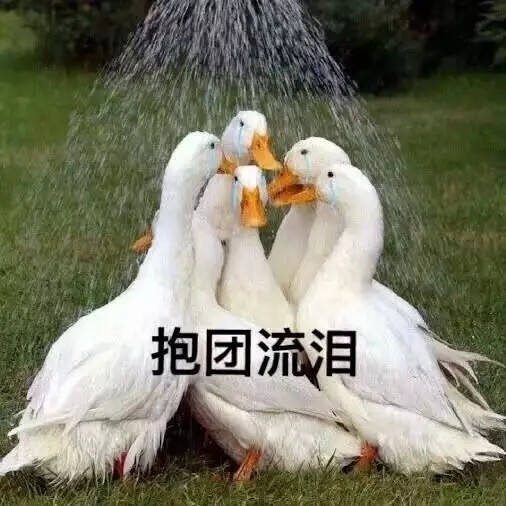 讓好友拍手叫好的朋友圈沙雕文案