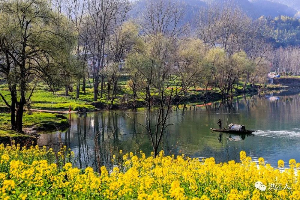 春风又绿滩头村