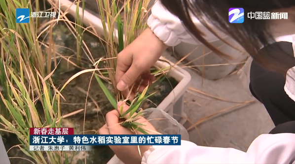 浙江大学|春节仍在忙，浙大这个实验室说这项研究等不得！