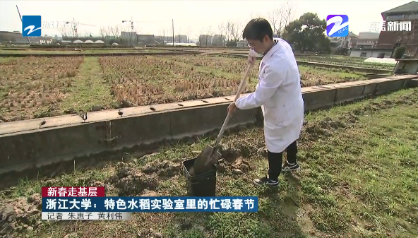 浙江大学|春节仍在忙，浙大这个实验室说这项研究等不得！