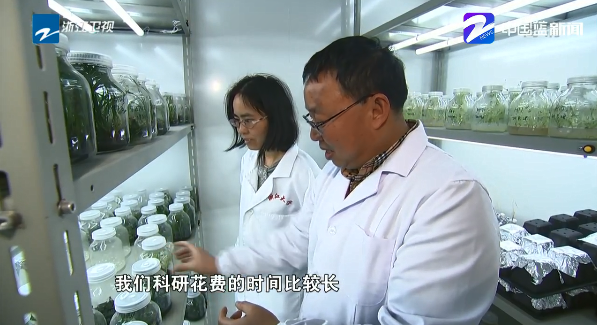 浙江大学|春节仍在忙，浙大这个实验室说这项研究等不得！