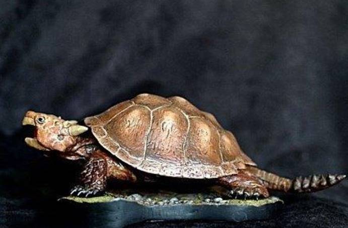 神兽"玄武"果然存在,因肉质鲜美,在2000年前被人类吃光_腾讯新闻