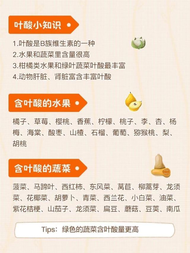 补叶酸的50种食物|健康安全|孕期备孕适用