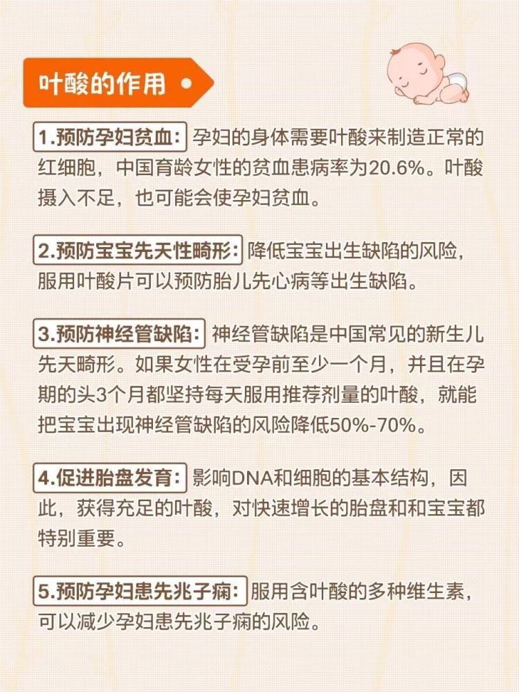 补叶酸的50种食物|健康安全|孕期备孕适用