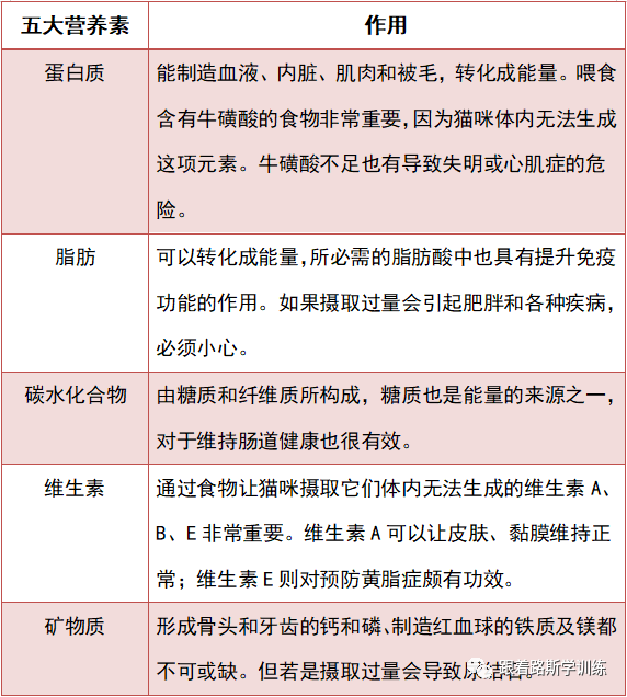 猫咪原本就是肉食性动物,需要的蛋白质高于人和狗