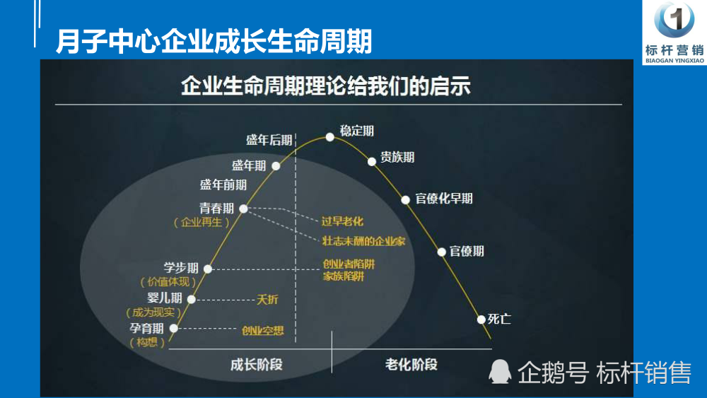 领导生命周期理论图片