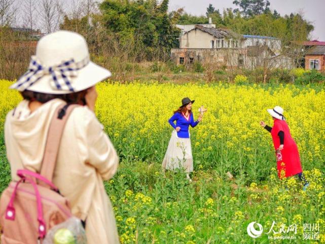 成都金堂油菜花开正当时田园风光美如画