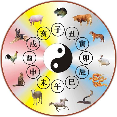 十二生肖|牛年说牛，“星”鲜的知识又增加了！